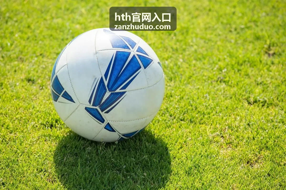 hth官网入口常见提示含义对照